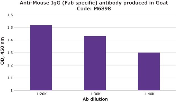 Anti-Maus-IgG (Fab-spezifisch) in Ziege hergestellte Antikörper affinity isolated antibody, buffered aqueous solution