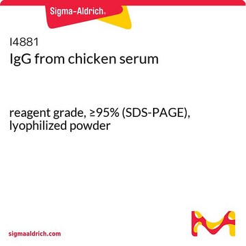 IgG from chicken serum reagent grade, &#8805;95% (SDS-PAGE), lyophilized powder