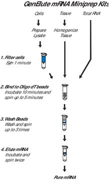 GenElute&#8482; Direct mRNA小量制备试剂盒 sufficient for 70&#160;purifications