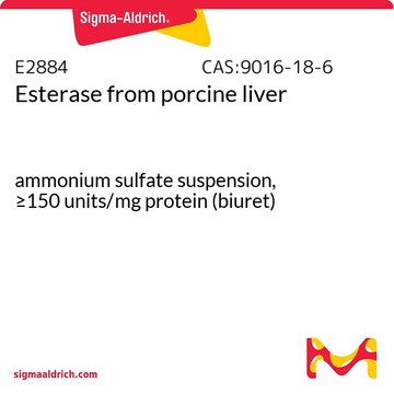 Esterase from porcine liver ammonium sulfate suspension, &#8805;150&#160;units/mg protein (biuret)