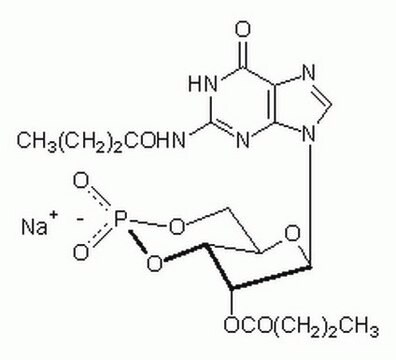 3′,5′-cykliczny monofosforan guanozyny, N²,2′-O-dibutyryl-, sól sodowa Cell-permeable cGMP analog that preferentially activates protein kinase G.