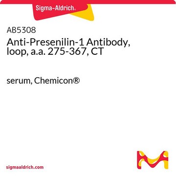 Anti-Presenilin-1-Antikörper, Schleife, AS 275–367, CT serum, Chemicon&#174;