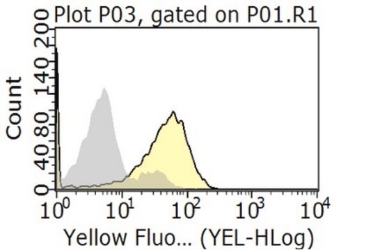 Anti-CD3e Antibody, clone UCHT1 clone UCHT1, from mouse