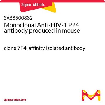 Monoclonal Anti-HIV-1 P24 antibody produced in mouse clone 7F4, affinity isolated antibody