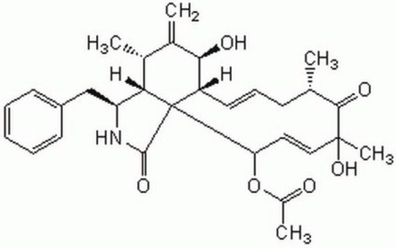 Cytochalasin D, Zygosporium mansonii Cytochalasin D, Zygosporium mansonii, CAS 22144-77-0, is a fungal toxin that is about 10-fold more potent than cytochalasin B in inhibiting actin filament function. Blocks cytoplasmic division.