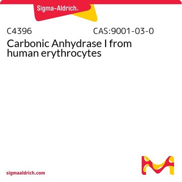 Kohlensäureanhydrase I aus Humanerythrocyten