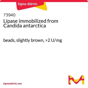 Lipase immobilized from Candida antarctica beads, slightly brown, &gt;2&#160;U/mg