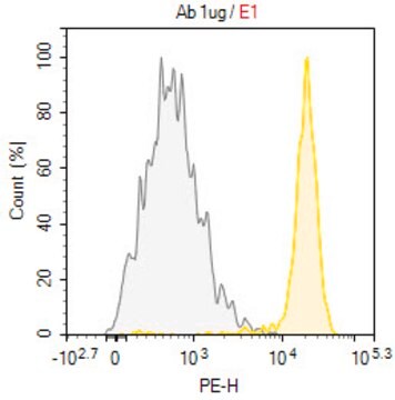 Anti-SIRPA/CD172a Antibody, clone SE12C3