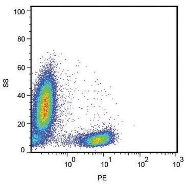 モノクローナル抗CD28抗体 マウス宿主抗体 clone CD28.2, purified immunoglobulin, buffered aqueous solution