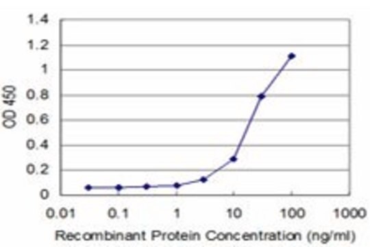 ANTI-DLX5 antibody produced in mouse clone 2B6, purified immunoglobulin, buffered aqueous solution