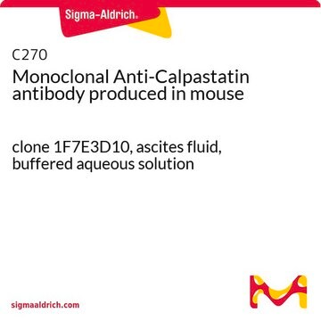 モノクロナール抗カルパスタチン マウス宿主抗体 clone 1F7E3D10, ascites fluid, buffered aqueous solution