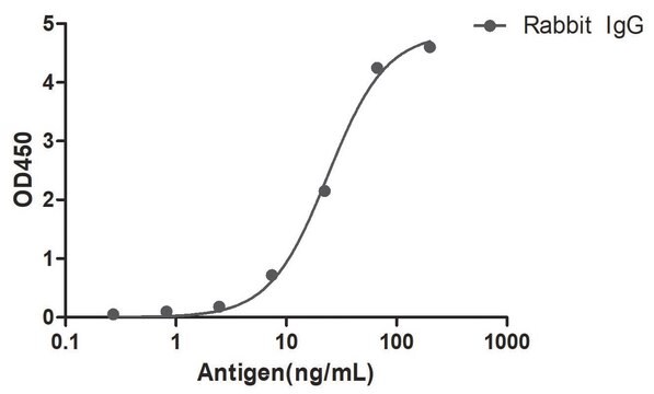 Goat Anti-Rabbit IgG(Fc&#947;) Biotin Alpaca Heavy chain only Antibody recombinant Alpaca(VHH) Nano antibody