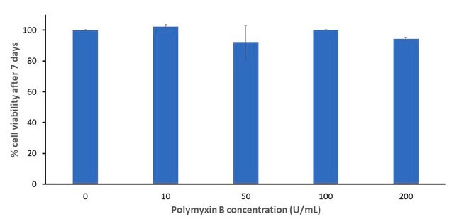 Gotowy roztwór polimyksyny B Cell culture tested, 17&#160;mg/mL in H2O