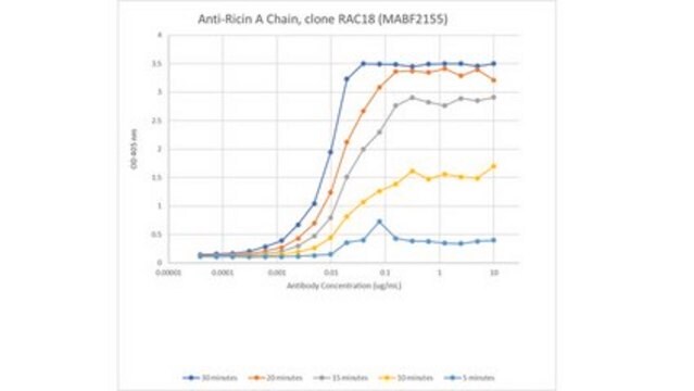 Anti-Ricin A Chain Antibody, clone RAC18 clone RAC18, from mouse