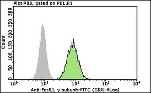 Anticorps Milli-Mark&#174; anti-Fc&#949;RI, sous-unité &#947;, conjugué FITC Milli-Mark&#174;, from rabbit