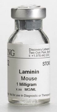 1240 Laminina from mouse, pack of 1&#160;mg