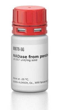 NADase from porcine brain &#8805;0.007&#160;unit/mg solid