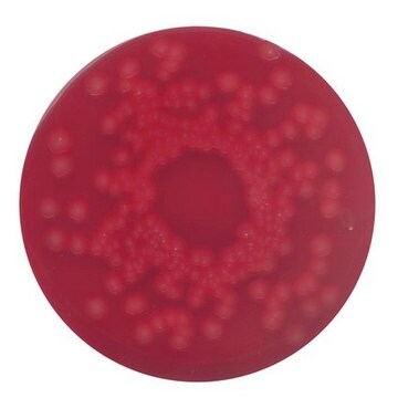 Blood agar (base) no. 2 for the cultivation of fastidious microorganisms