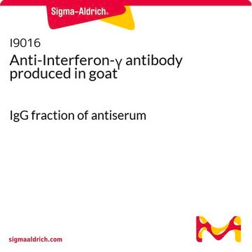 抗-干扰素-&#947; 山羊抗 IgG fraction of antiserum