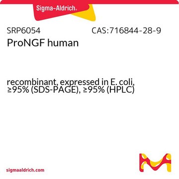 ProNGF human recombinant, expressed in E. coli, &#8805;95% (SDS-PAGE), &#8805;95% (HPLC)