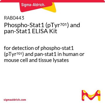 Phospho-Stat1 (pTyr701) and pan-Stat1 ELISA Kit for detection of phospho-stat1 (pTyr701) and pan-stat1 in human or mouse cell and tissue lysates