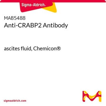 Anti-CRABP2-Antikörper ascites fluid, Chemicon&#174;