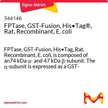 FPTase，GST融合，组氨酸&#8226;标签&#174;，大鼠，重组，大肠杆菌 FPTase, GST-Fusion, His&#8226;Tag, Rat, Recombinant, E. coli, is composed of an74 kDa &#945;- and 47 kDa &#946;-subunit. The &#945;-subunit is expressed as a GST-fusion construct with an N-terminal His&#8226;Tag sequence.