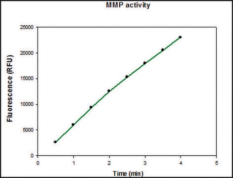 MMP-9 präaktiviert, human recombinant, &#8805;1,300 pmol/min/&#956;g, expressed in HEK 293 cells