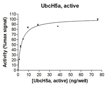 UbcH5a-Protein, aktiv, 50&nbsp;&#181;g Active, full length, recombinant human UbcH5a. N-terminal HA, 6His-tagged. For use in Enzyme Assays. Functions as an E2 enzyme in ubiquitination assays.