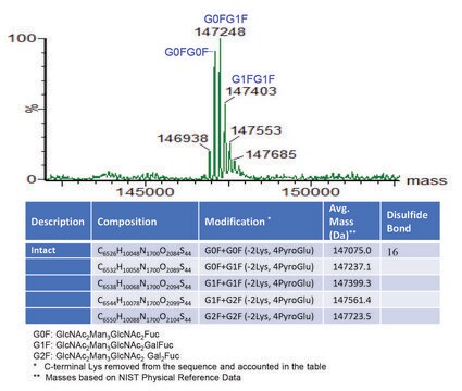 8208LiteSigmaMAb Przeciwciało monoklonalne rytuksymabu recombinant, expressed in CHO cells