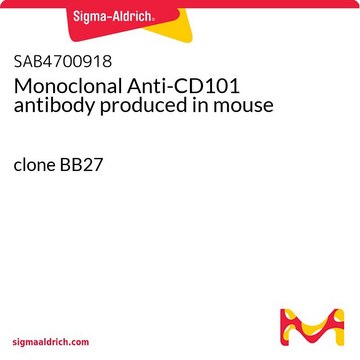 Monoclonal Anti-CD101 antibody produced in mouse clone BB27