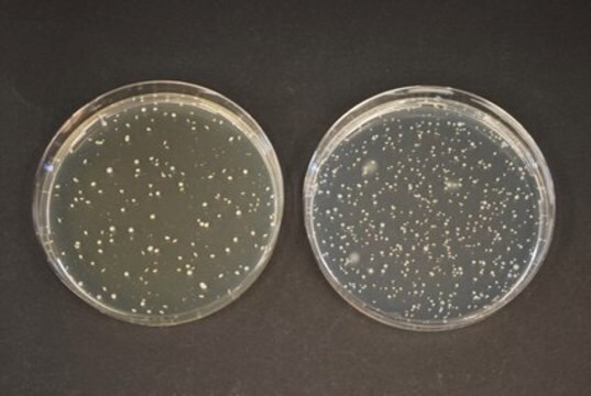 Agar z propionianem TOS (baza) GranuCult&#174; prime, suitable for microbiology, for Bifidobacterium spp.