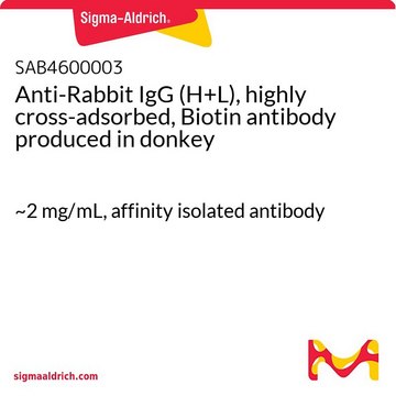 Anti-Rabbit IgG (H+L), highly cross-adsorbed, Biotin antibody produced in donkey ~2&#160;mg/mL, affinity isolated antibody