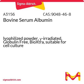 Albumin, essentially globulin-free ウシ血清由来 lyophilized powder, &#947;-irradiated, Globulin Free, BioXtra, suitable for cell culture