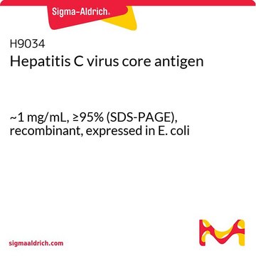 Hepatitis C virus core antigen ~1&#160;mg/mL, &#8805;95% (SDS-PAGE), recombinant, expressed in E. coli