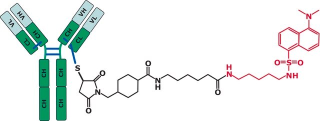 SigmaMAb抗体药物偶联物(ADC)模拟物 Antibody Cysteine-Fluorophore Conjugate Standard