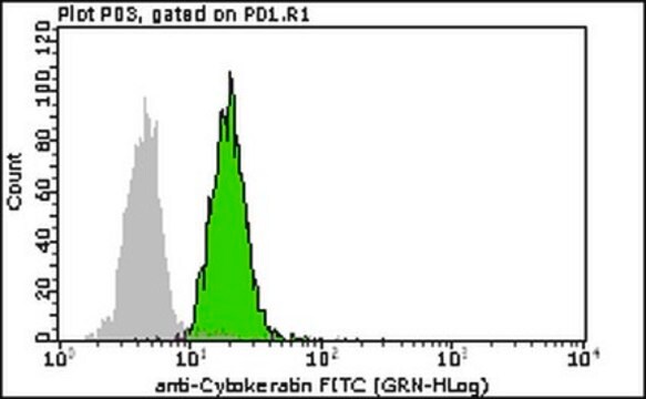 Milli-Mark&#174; Anti-Zytokeratin&nbsp;5-Antikörper, 6-FITC, Klon D5/16B4 clone D5/16B4, Milli-Mark&#174;, from mouse