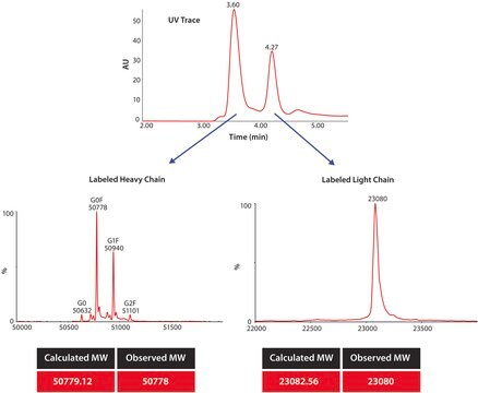 SILu&#8482;MAB Stable-Isotope Labeled Universal Monoclonal Antibody Standard human recombinant, expressed in CHO cells