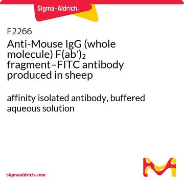 Anti-Mouse IgG (whole molecule) F(ab&#8242;)2 fragment–FITC antibody produced in sheep affinity isolated antibody, buffered aqueous solution