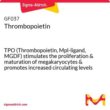 Thrombopoietin TPO (Thrombopoietin, Mpl-ligand, MGDF) stimulates the proliferation &amp; maturation of megakaryocytes &amp; promotes increased circulating levels of platelets in vivo.