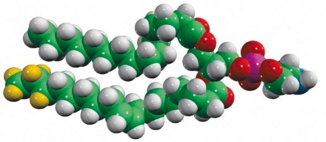 15:0-18:1-d7-PE Avanti Research&#8482; - A Croda Brand