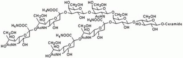 Gangliosid GQ1b, Tetrasialo, Tetraammoniumsalz, Rindergehirn Ganglioside GQ1b enhances spontaneous IgG, IgM, and IgA production in human peripheral monocytic cells.