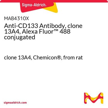 Anticorpo antiCD133, clone 13A4, Alexa Fluor&#8482; 488 conjugado clone 13A4, Chemicon&#174;, from rat