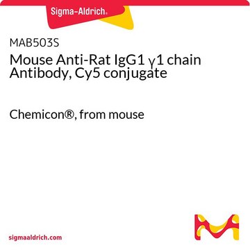 Mouse Anti-Rat IgG1 &#947;1 chain Antibody, Cy5 conjugate Chemicon&#174;, from mouse