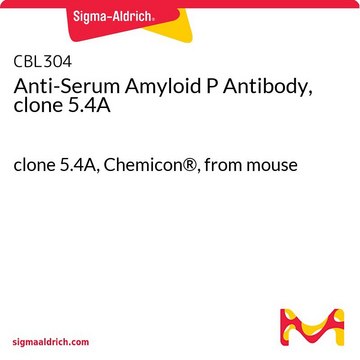 Anti-Serum Amyloid P Antibody, clone 5.4A clone 5.4A, Chemicon&#174;, from mouse