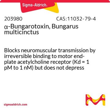 α-Bungarotoksyna, Bungarus multicinctus Blocks neuromuscular transmission by irreversible binding to motor end-plate acetylcholine receptor (Kd = 1 pM to 1 nM) but does not depress acetylcholine release from motor nerve endings.