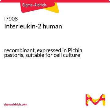 Interleukin-2 human recombinant, expressed in Pichia pastoris, suitable for cell culture