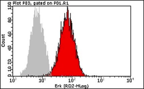 Milli-Mark&#174; Anti-MAPK 1/2 (tERK) Antibody, Alexa Fluor 647 Conjugate Milli-Mark&#174;, from rabbit