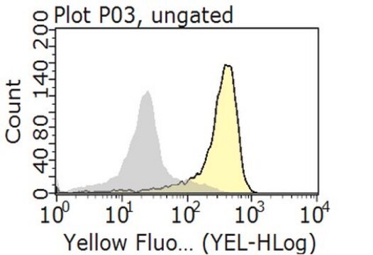 Przeciwciało anty-Integryna α5β1, klon BMA5 culture supernatant, clone BMA5, from rat