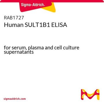 Human SULT1B1 ELISA for serum, plasma and cell culture supernatants